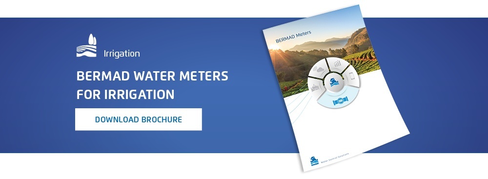 Bermad Water Meters for irrigation. Download brochure